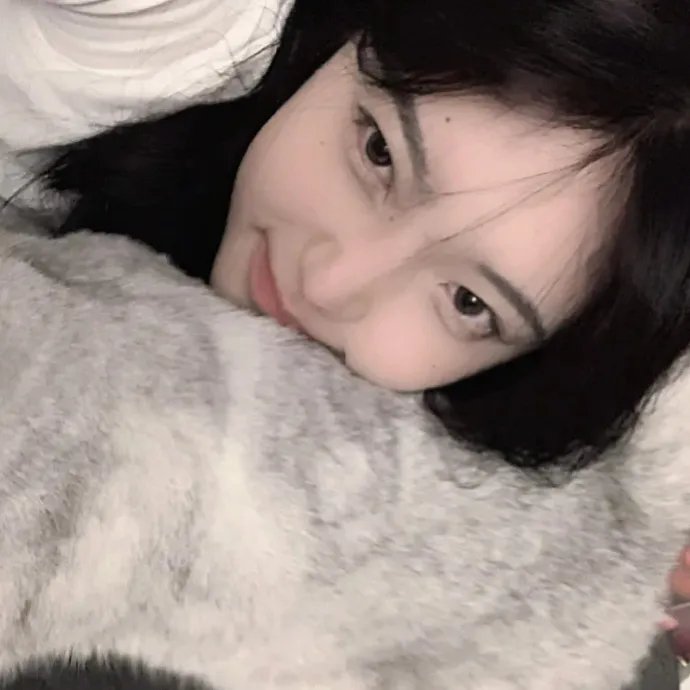 小猪教室